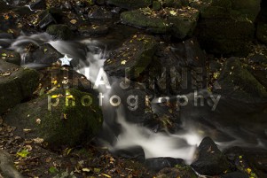 20141003_Lumsdale Valley_0126